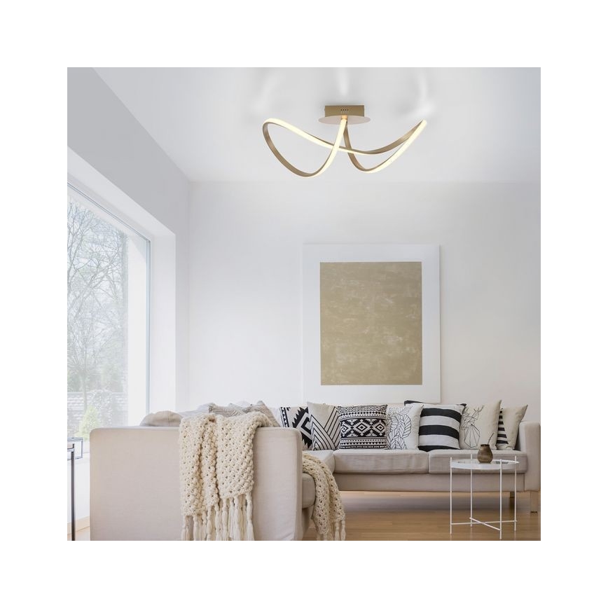 Leuchten Direkt 15403-60 - LED Stmievateľný prisadený luster MARIA LED/15,5W/230V
