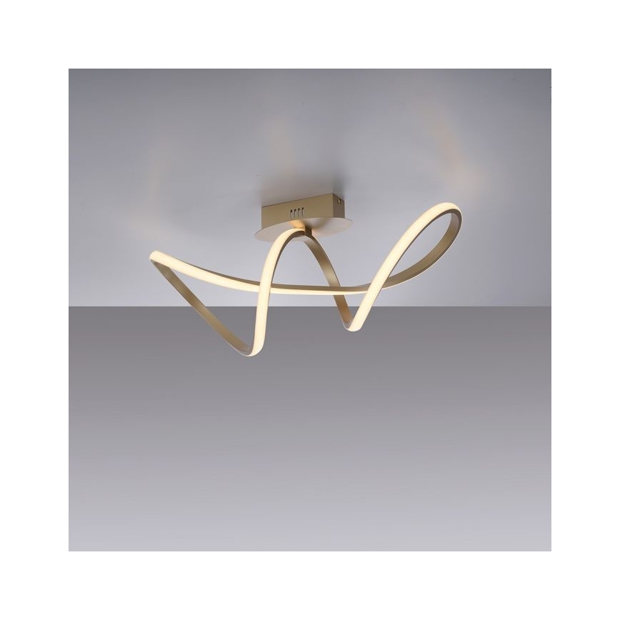 Leuchten Direkt 15403-60 - LED Stmievateľný prisadený luster MARIA LED/15,5W/230V