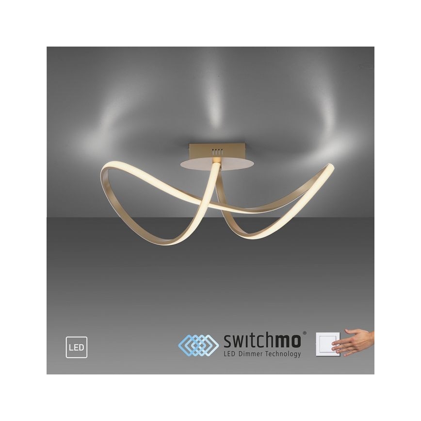 Leuchten Direkt 15403-60 - LED Stmievateľný prisadený luster MARIA LED/15,5W/230V