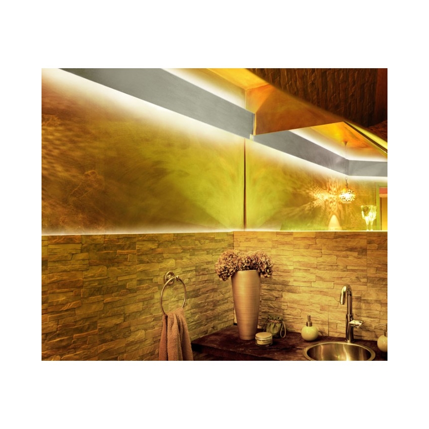 Leuchten Direkt 81219-70-LED RGB Stmievateľný pásik TEANIA 10m LED/24W/12/230V+ diaľkové ovládanie