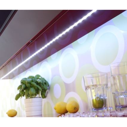 Leuchten Direkt 81219-70-LED RGB Stmievateľný pásik TEANIA 10m LED/24W/12/230V+ diaľkové ovládanie