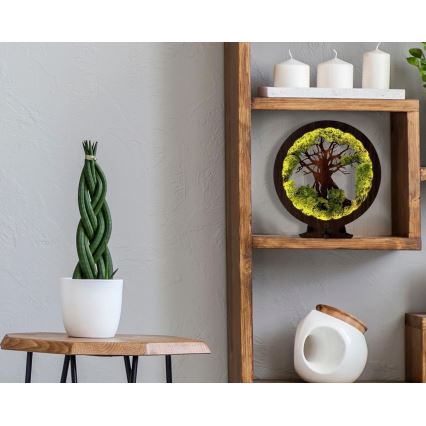 Li-Go 23604/DUB2 - Stmievateľná LED stolová dekorácia LED/12W/230V 20x22 cm dub/mach a strom