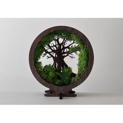 Li-Go 23604/DUB2 - Stmievateľná LED stolová dekorácia LED/12W/230V 20x22 cm dub/mach a strom