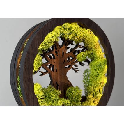 Li-Go 23604/DUB2 - Stmievateľná LED stolová dekorácia LED/12W/230V 20x22 cm dub/mach a strom