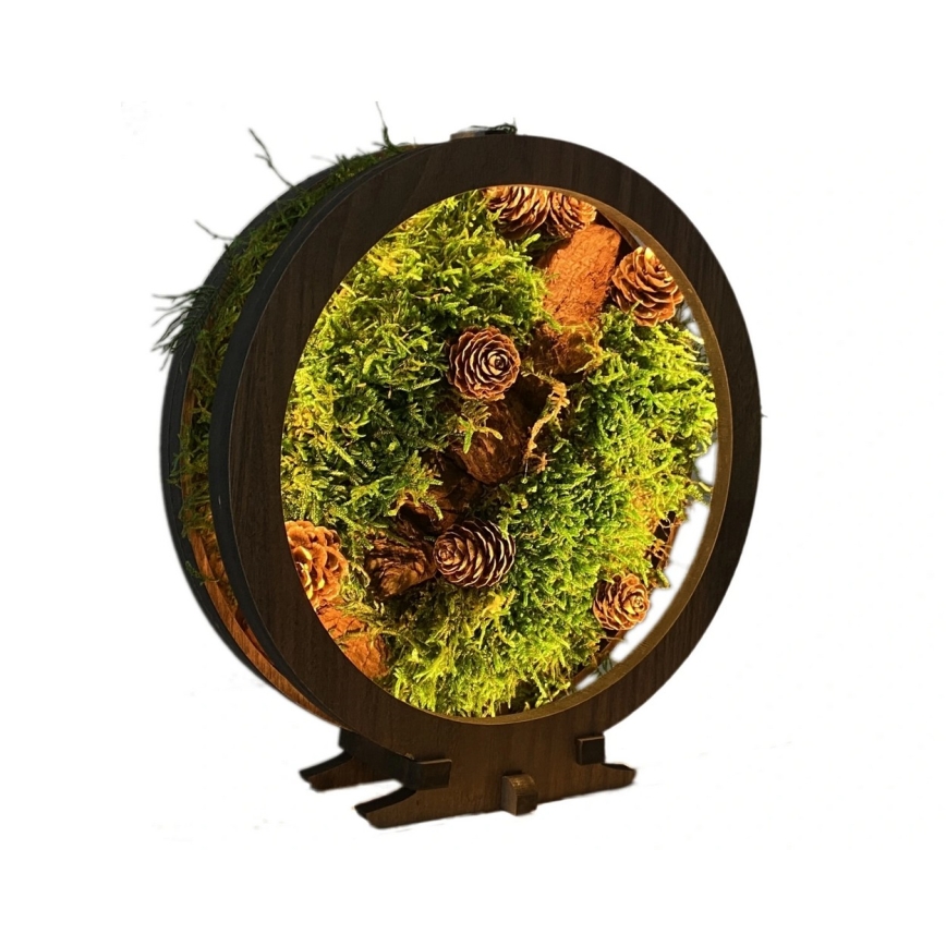 Li-Go 23654 - Stmievateľná LED stolová dekorácia LED/12W/230V 20x22 cm orech/machové zátišie