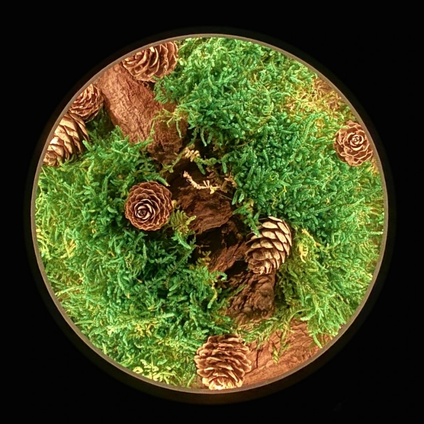 Li-Go 23654 - Stmievateľná LED stolová dekorácia LED/12W/230V 20x22 cm orech/machové zátišie