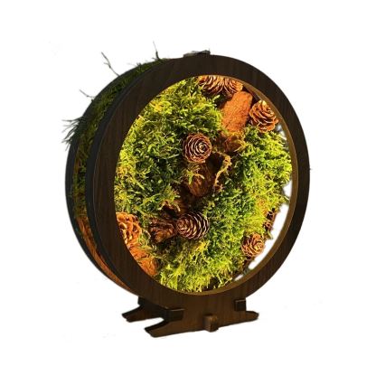 Li-Go 23654 - LED stmievateľná stolná dekorácia LED/12W/230V 20x22 cm orech/Machové zátišie