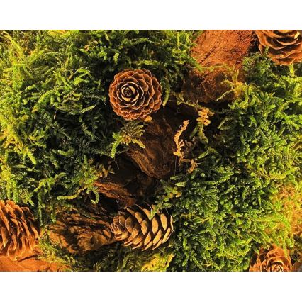 Li-Go 23654 - LED stmievateľná stolná dekorácia LED/12W/230V 20x22 cm orech/Machové zátišie