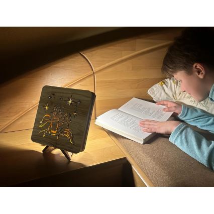 Li-Go 5788/DUB2 - LED stolná dekorácia LED/12W/230V 19x19 cm dub/Malý princ