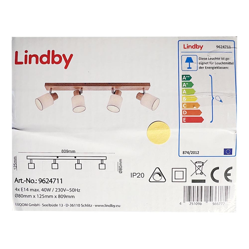 Lindby - Bodové svietidlo WANESSA 4xE14/40W/230V