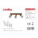 Lindby - LED Bodové svietidlo MITIS 3xGU10/5W/230V