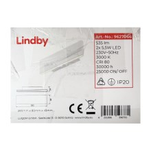 Lindby - LED Nástenné svietidlo IGNAZIA 2xLED/5,5W/230V