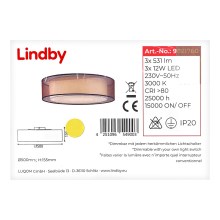Lindby - LED Stmievateľné stropné svietidlo AMON 3xLED/12W/230V