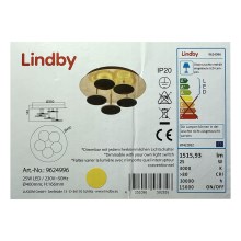 Lindby - LED Stmievateľné stropné svietidlo CASNI 5xLED/5W/230V