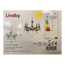 Lindby - Luster na reťazi KORA 5xE14/40W/230V