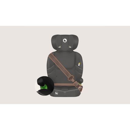 Lionelo - Autosedačka BILLY i-Size 76-150 cm, čierny Carbon