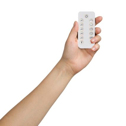 Lionelo - Detská hojdačka s melódiou OLIVIA Beige Natural + diaľkové ovládanie