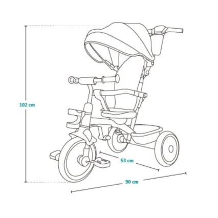 Lionelo - Detská trojkolka BERRY Grey Stone