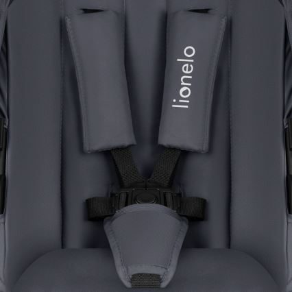 Lionelo - Kombinovaný kočík 2v1 AMBER PLUS Grey Graphite