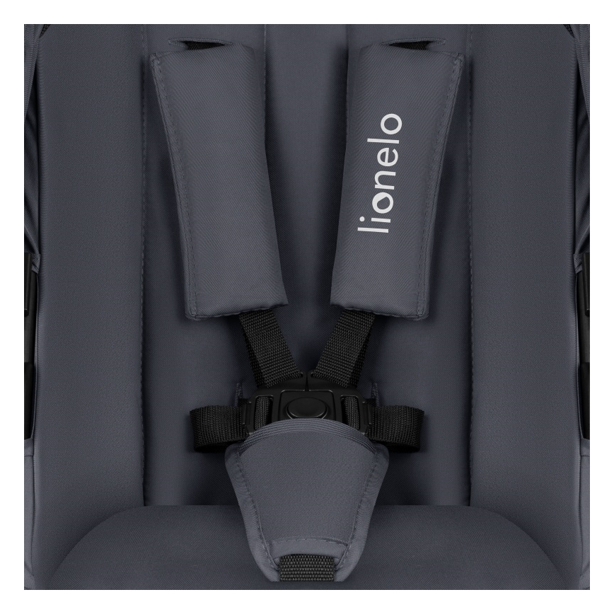 Lionelo - Kombinovaný kočík 2v1 AMBER PLUS Grey Graphite