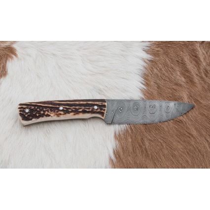 Lovecký damaškový nôž 11 cm jelení paroh