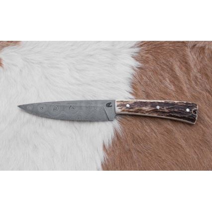 Lovecký damaškový nôž zarazák s pílkou 12 cm jelení paroh