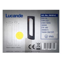 Lucande - LED Vonkajšia lampa FENTI LED/12W/230V IP65