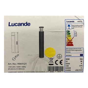 Lucande - LED Vonkajšia lampa JAXON LED/15W/230V IP54