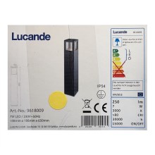 Lucande - LED Vonkajšia lampa NICOLA LED/7W/230V IP54
