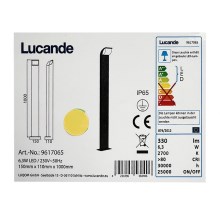 Lucande - LED Vonkajšia lampa TINNA LED/6,3W/230V IP65