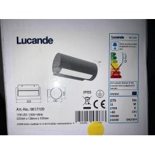 Lucande - LED Vonkajšie nástenné svietidlo BOHDAN LED/11W/230V IP65