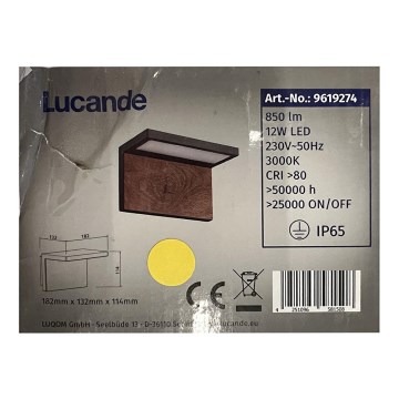 Lucande - LED Vonkajšie nástenné svietidlo LIGNUS LED/12W/230V IP65