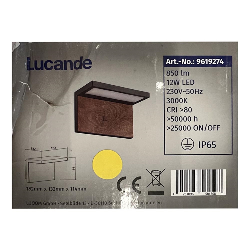 Lucande - LED Vonkajšie nástenné svietidlo LIGNUS LED/12W/230V IP65
