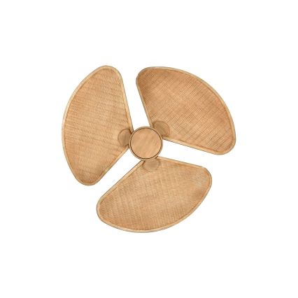 Lucci Air 21325549 - LED stmievateľný stropný ventilátor SABLE 1xGX53/12W/230V 3000/4000/5000K pr. 91,5 cm hnedá + diaľkové ovládanie