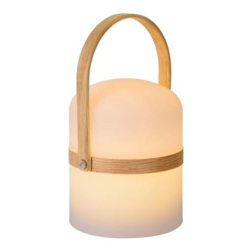 Lucide 06800/03/31 - LED vonkajšia stolná lampa JOE 1xLED/3W/230V