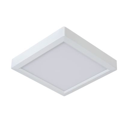 Lucide 07106/18/31 - Stropné svietidlo TENDO-LED LED/18W/230V