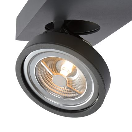 Lucide 09920/10/36 - LED Stmievateľné bodové svietidlo NENAD AR111 G53/10W/18V