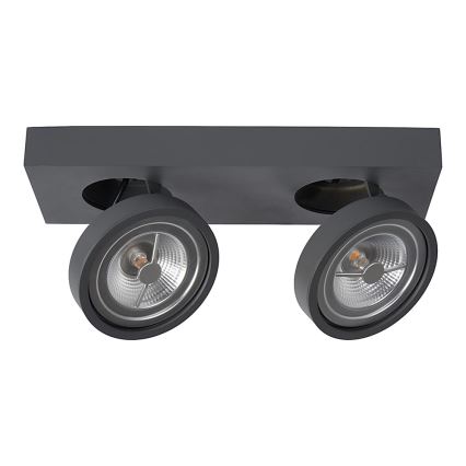 Lucide 09920/20/36 - LED Stmievateľné bodové svietidlo NENAD AR111 2xG53/10W/18V