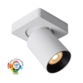 Lucide 09929/05/31 - LED Stmievateľné bodové svietidlo NIGEL 1xGU10/5W/230V biela CRI 95
