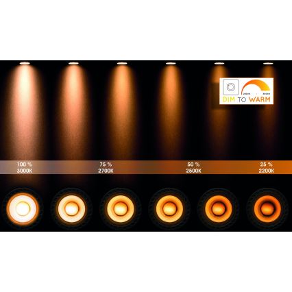 Lucide 09930/10/31 - LED Stmievateľné kúpeľňové bodové svietidlo TAYLOR 2xGU10/5W/230V IP44