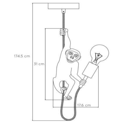 Lucide 10402/01/30 - Luster na lanku EXTRAVAGANZA CHIMP 1xE27/60W/230V