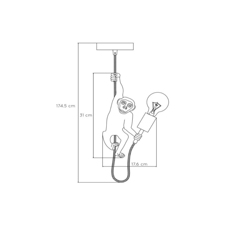 Lucide 10402/01/30 - Luster na lanku EXTRAVAGANZA CHIMP 1xE27/60W/230V