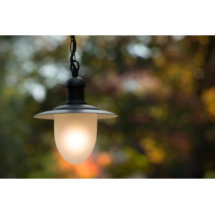 Lucide 11872/01/30 - Vonkajšie závesné svietidlo ARUBA 1xE27/60W/230V