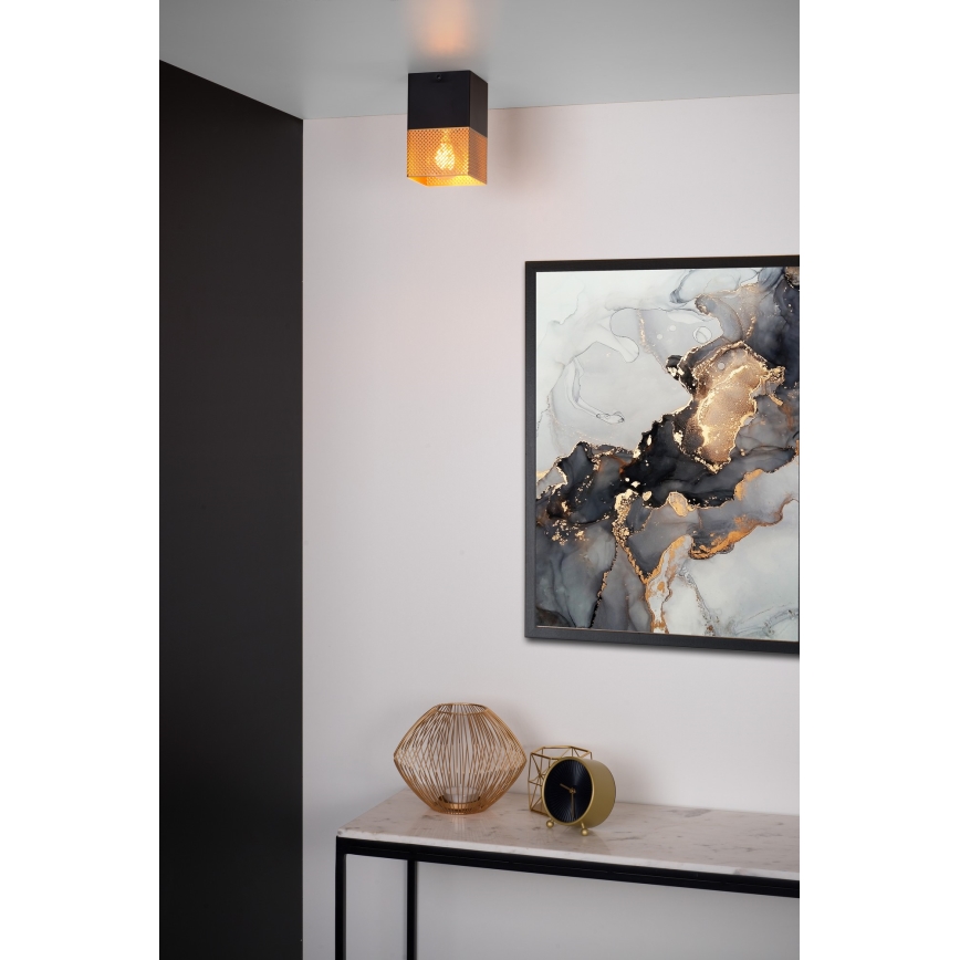 Lucide 21123/01/02 - Stropné svietidlo RENATE 1xE27/40W/230V