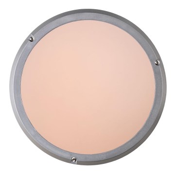 Lucide 22100/27/36 - Kúpeľňové stropné svietidlo FENNA 1xE27/60W/230V šedé