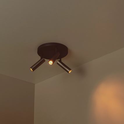 Lucide 22974/13/15 - Bodové svietidlo GRADO 3xGU10/40W/230V hnedá/čierna