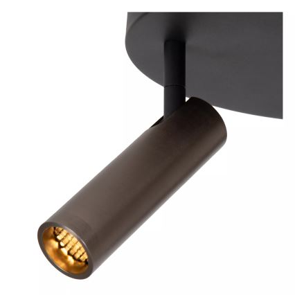 Lucide 22974/13/15 - Bodové svietidlo GRADO 3xGU10/40W/230V hnedá/čierna