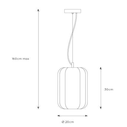 Lucide 25409/01/30 - Luster na lanku FERN 1xE27/60W/230V