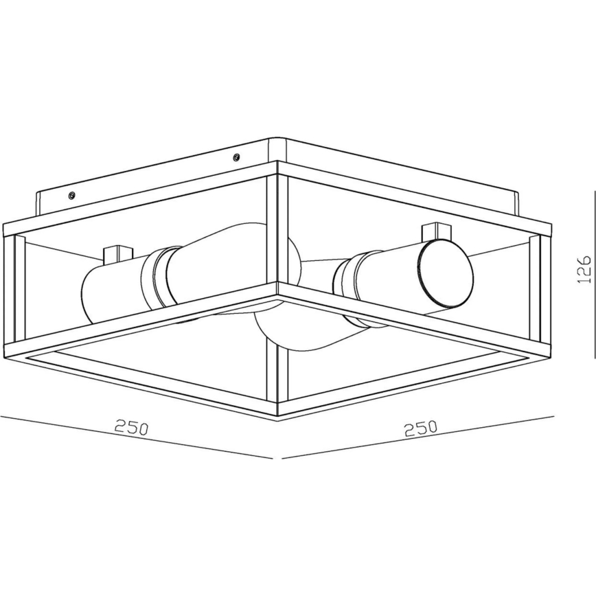Lucide 27100/02/30 - Kúpeľňové stropné svietidlo CARLYN 2xE14/6W/230V IP54 čierna