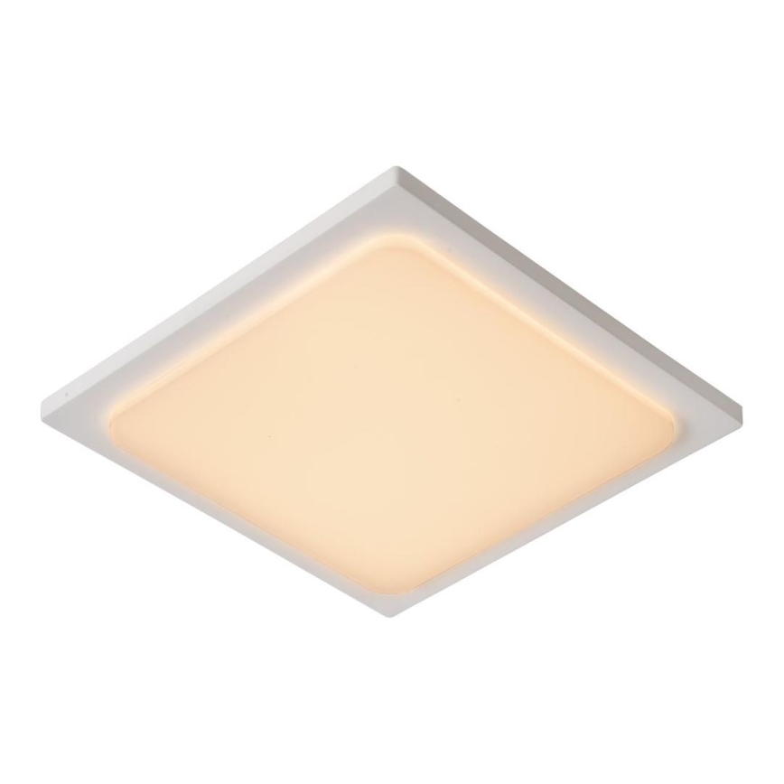 Lucide 28858/25/31 - LED kúpeľňové svietidlo ORAS LED/20W/230V IP54 biele